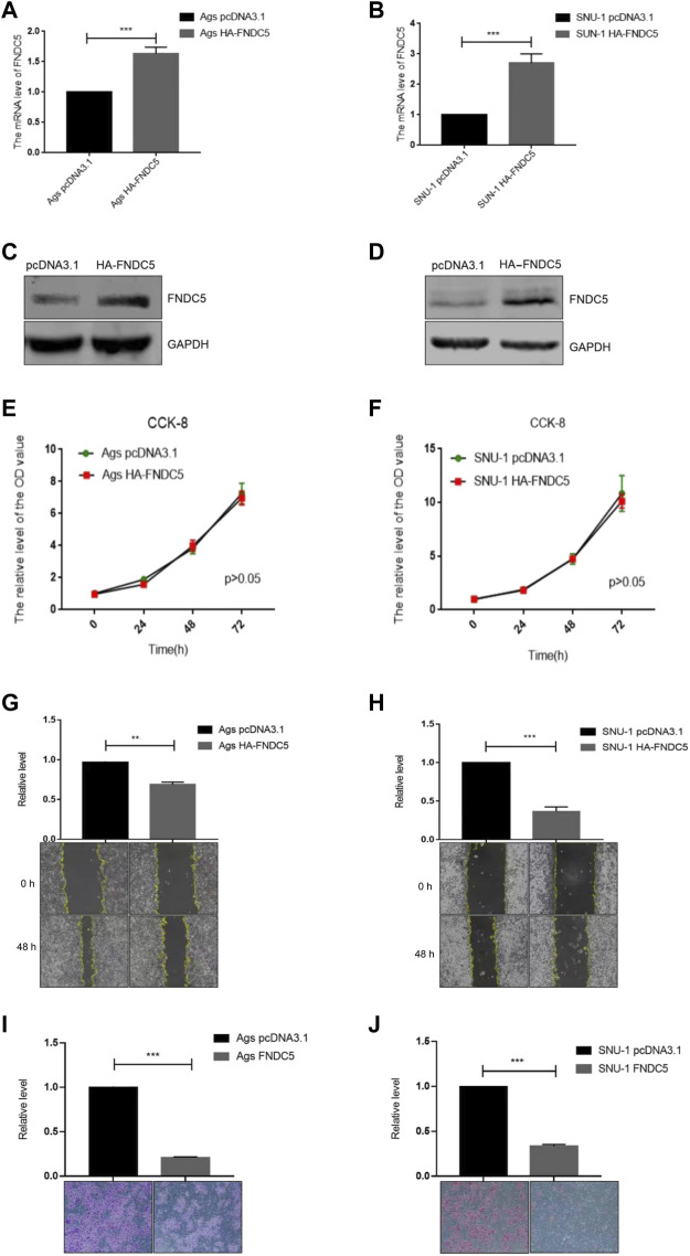 FIGURE 4