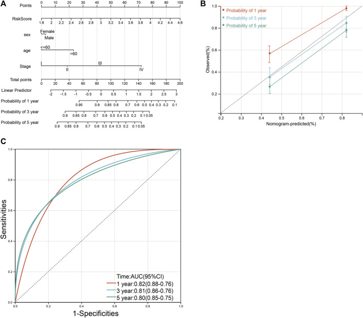 FIGURE 11