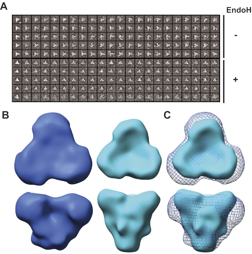 FIGURE 9.