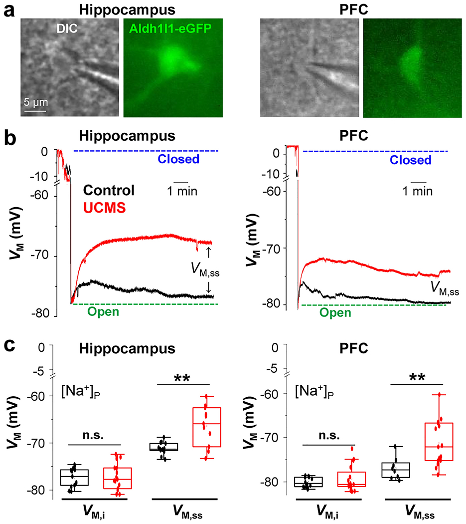 Figure 4: