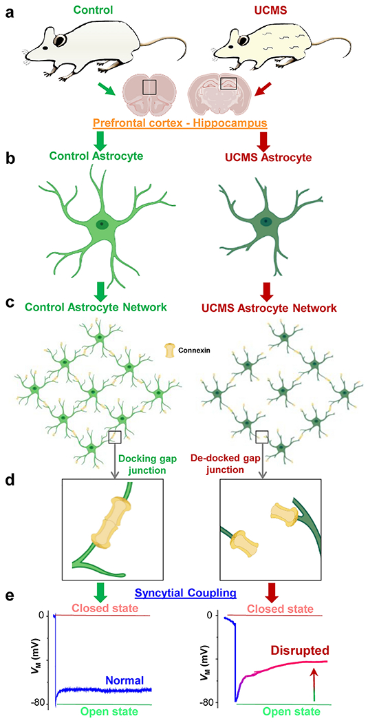 Figure 7: