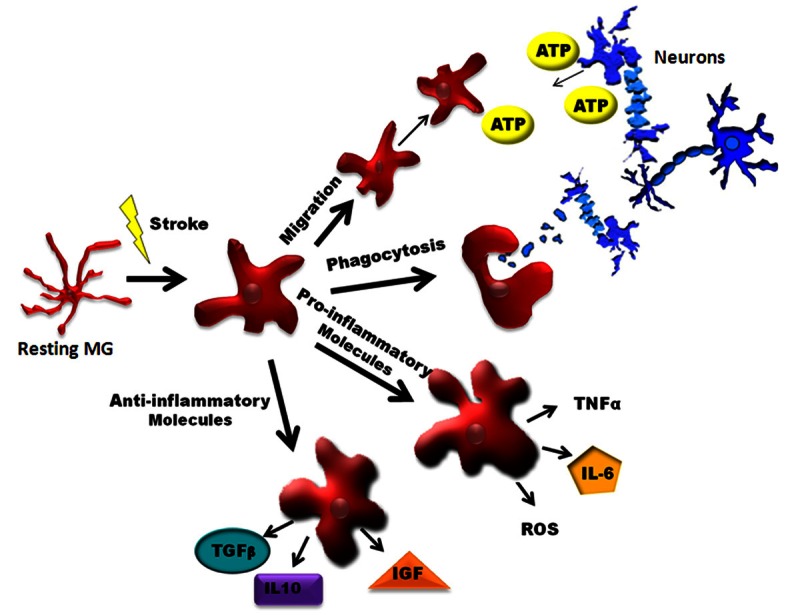 Figure 3