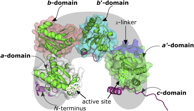 Fig. 1.