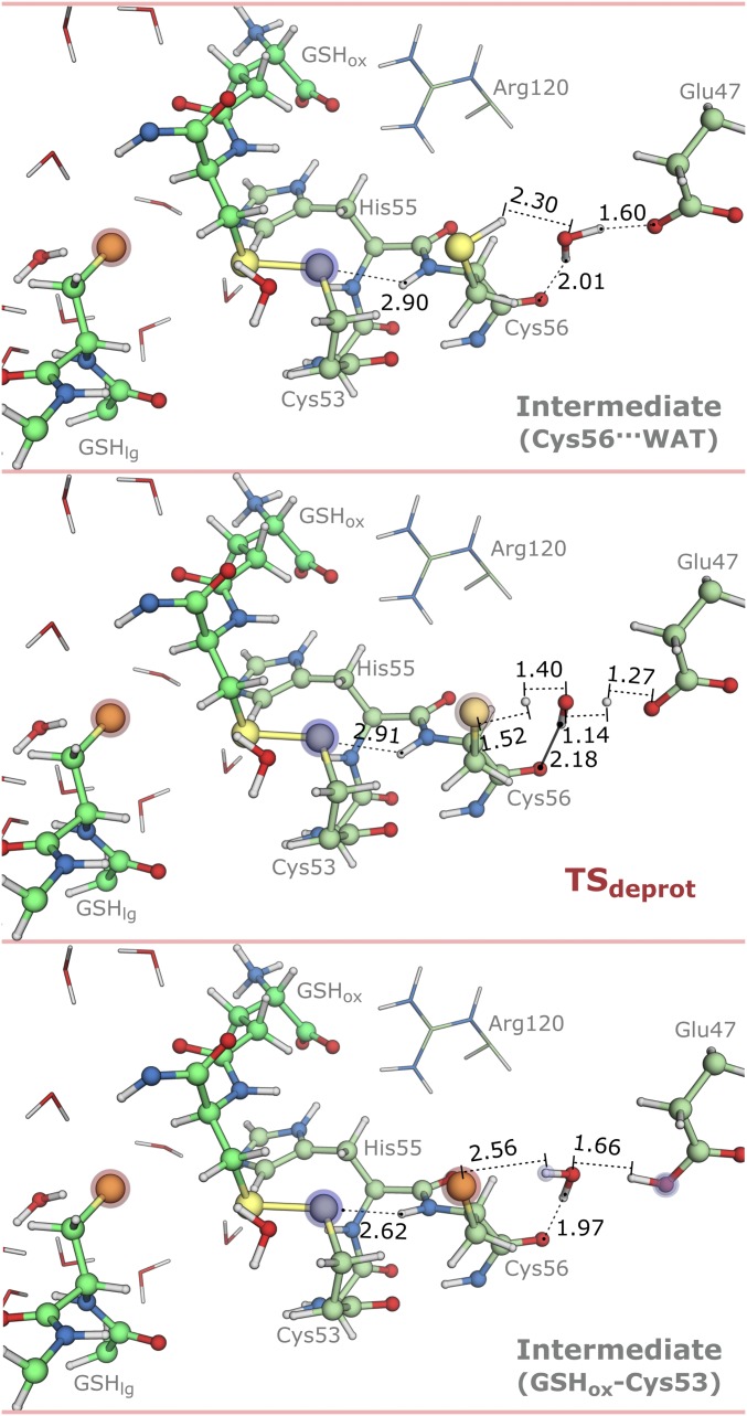 Fig. 8.