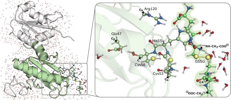 Fig. 3.