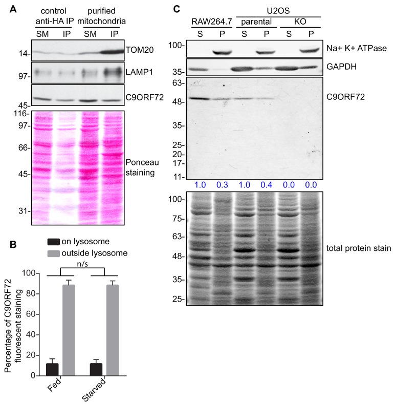 Figure 6—figure supplement 2.