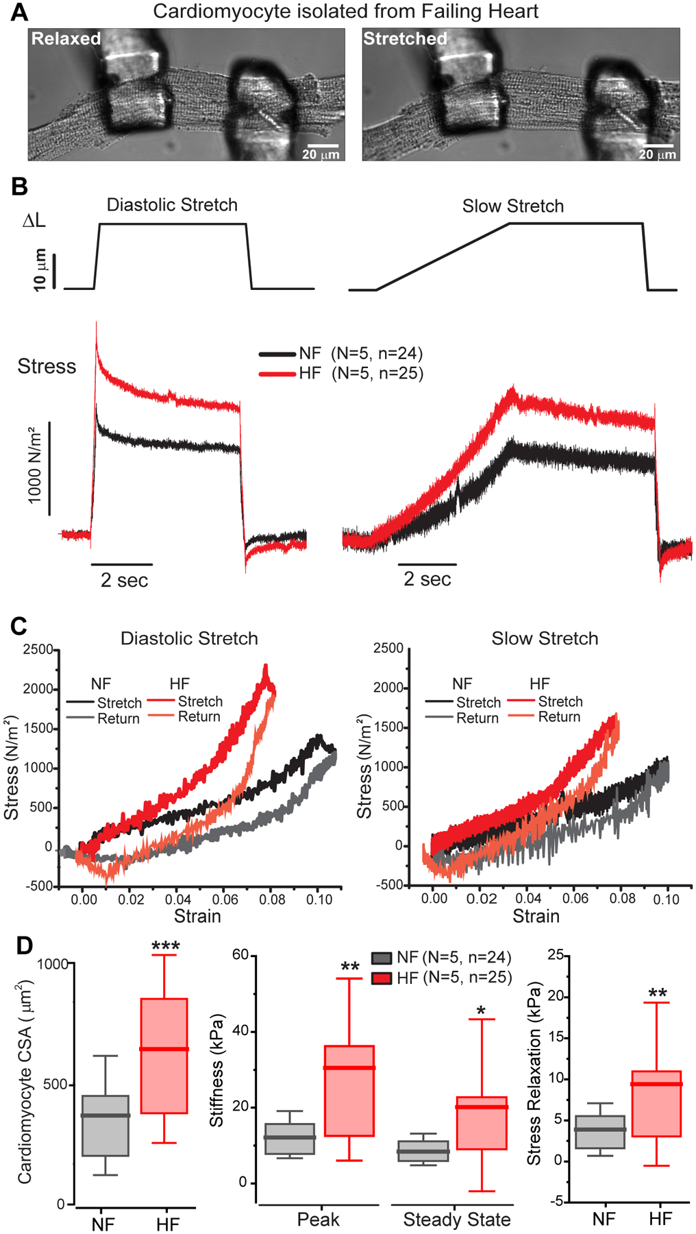 Figure 2: