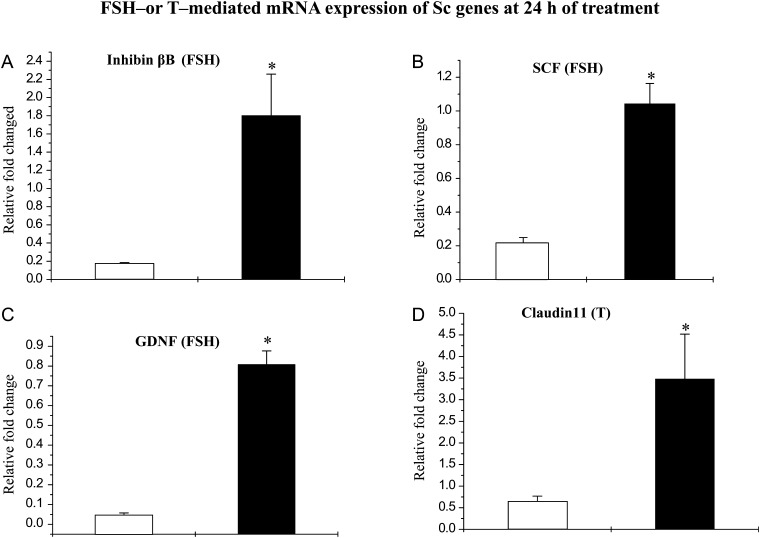 Figure 5