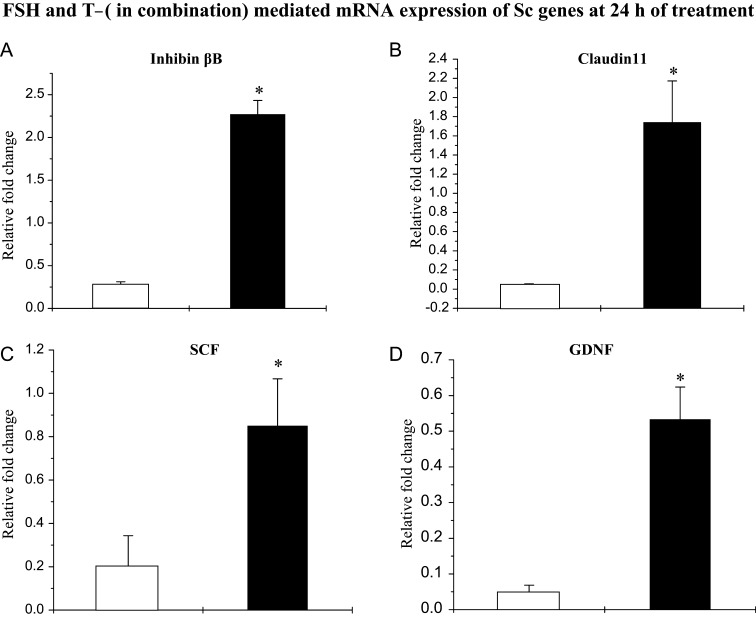 Figure 6