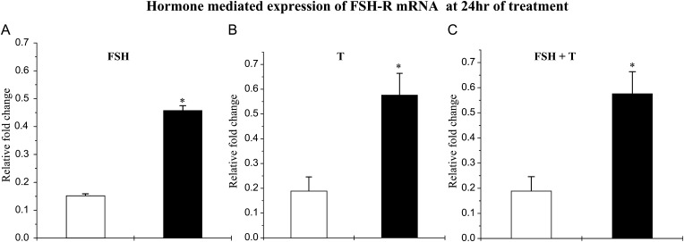 Figure 4