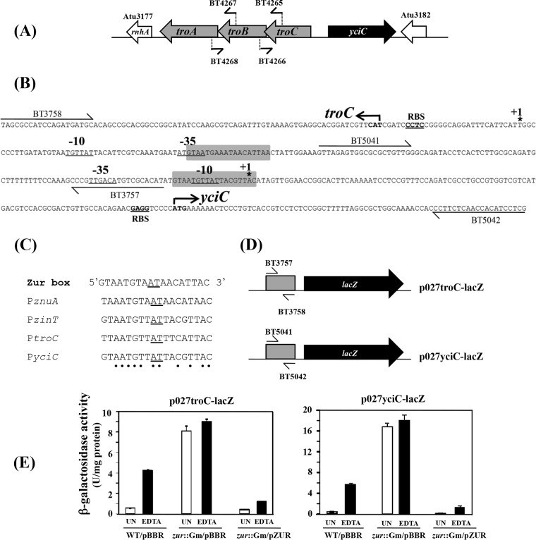 FIG 1