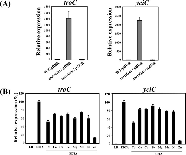 FIG 2