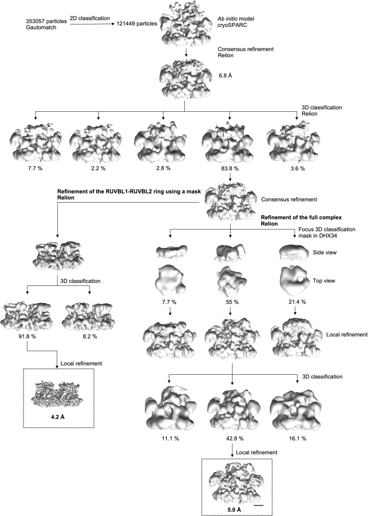 Figure 2—figure supplement 1.