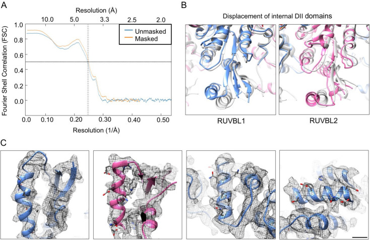 Figure 3—figure supplement 2.