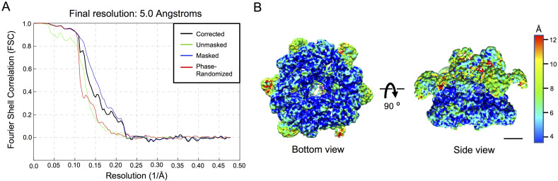 Figure 2—figure supplement 2.