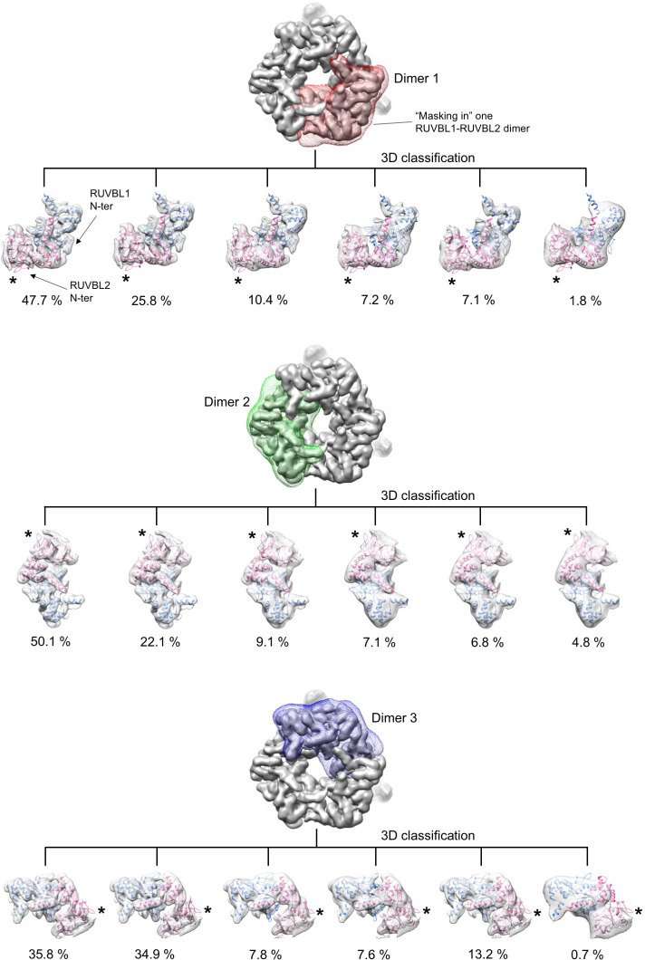 Figure 3—figure supplement 4.