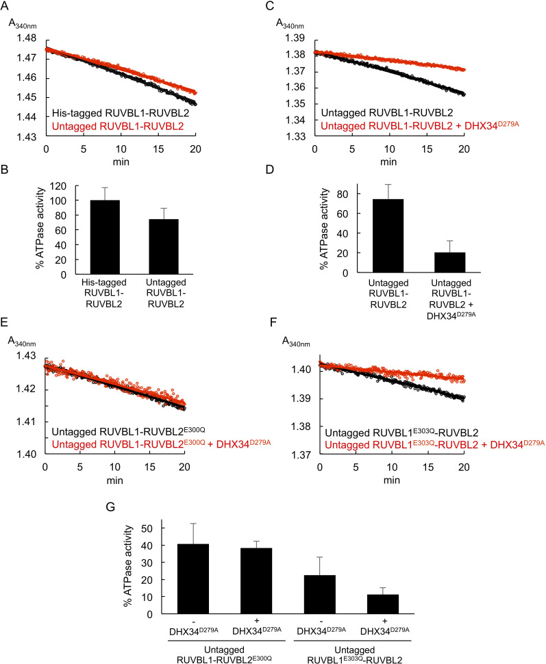 Figure 5—figure supplement 3.