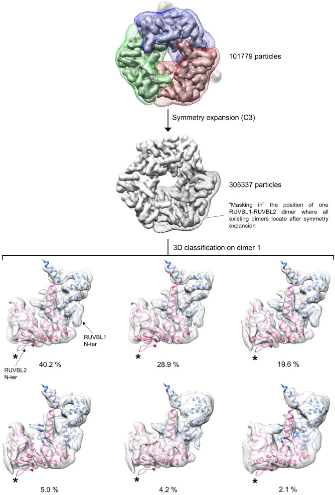 Figure 3—figure supplement 5.