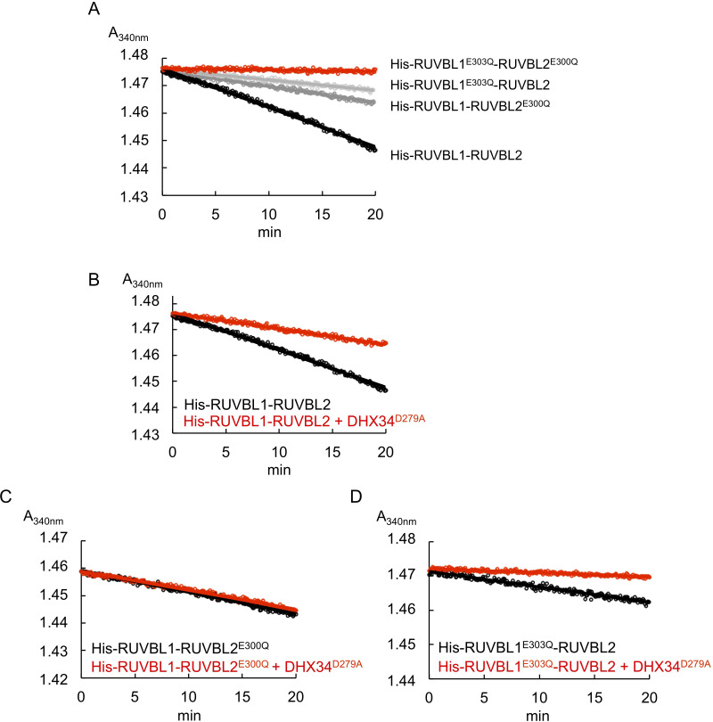 Figure 5—figure supplement 2.