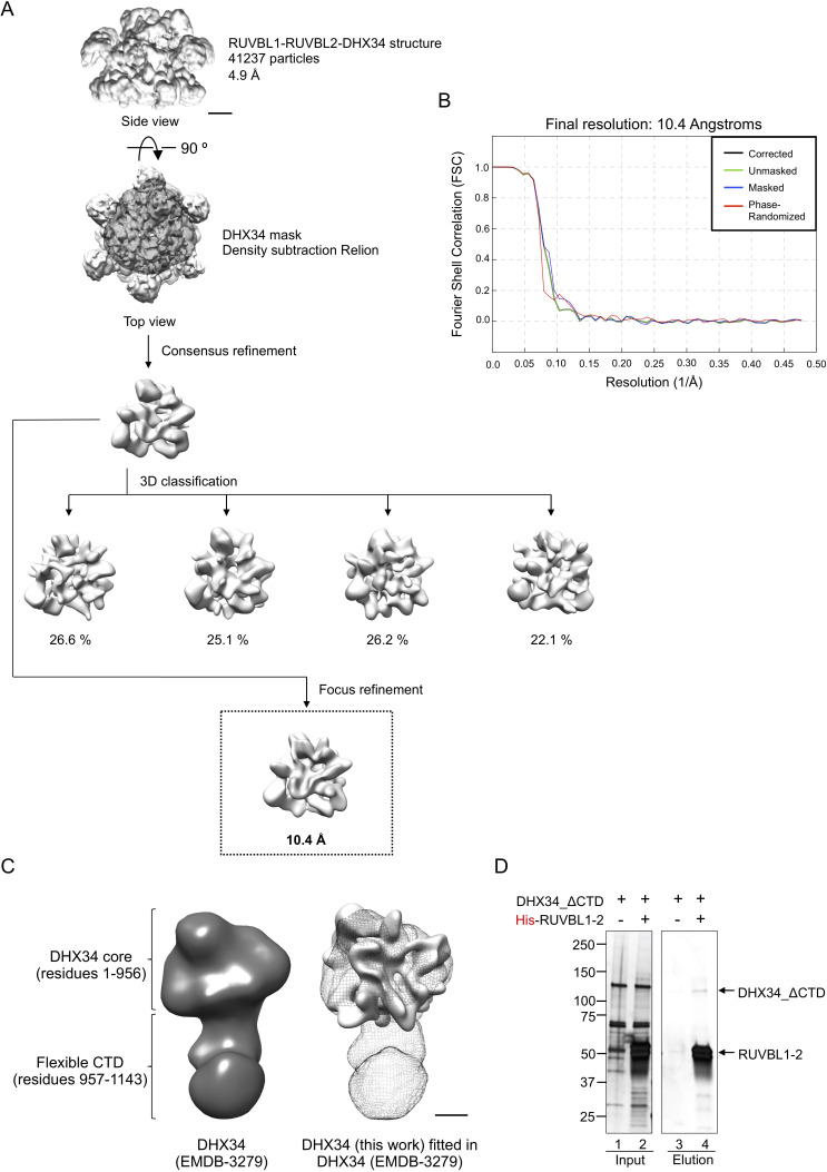 Figure 4—figure supplement 1.