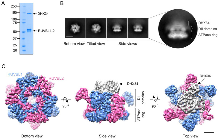 Figure 2.