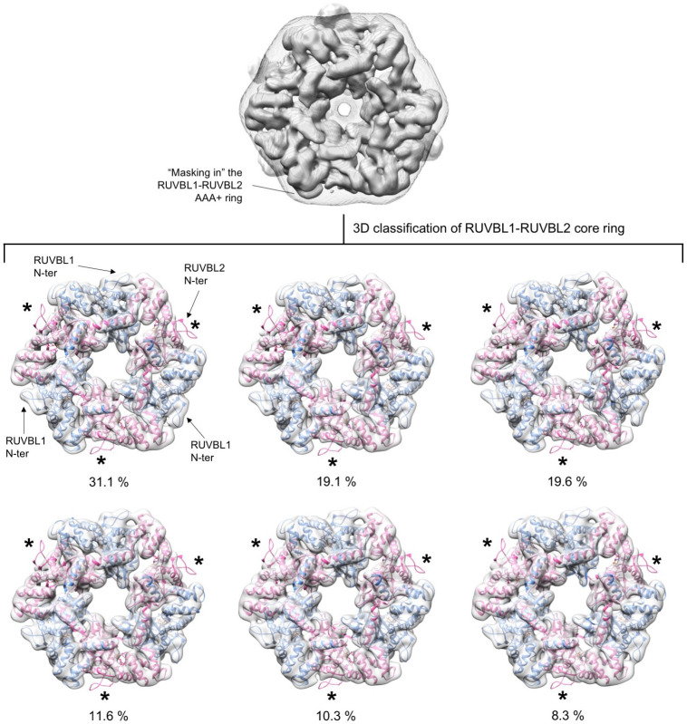 Figure 3—figure supplement 3.