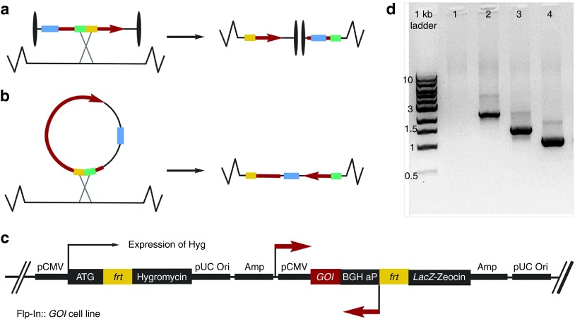 Figure 5