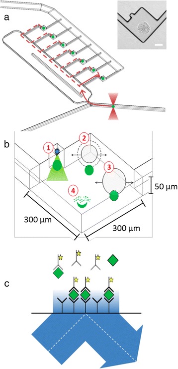 Fig. 5