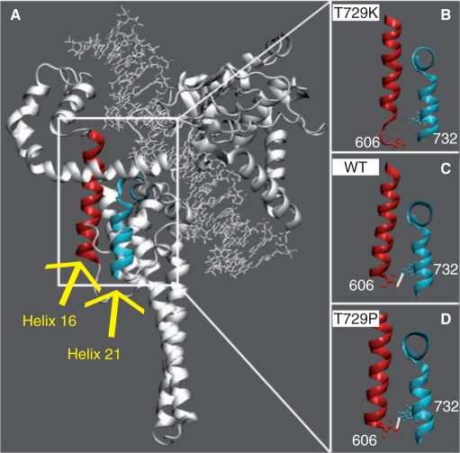 Figure 3.