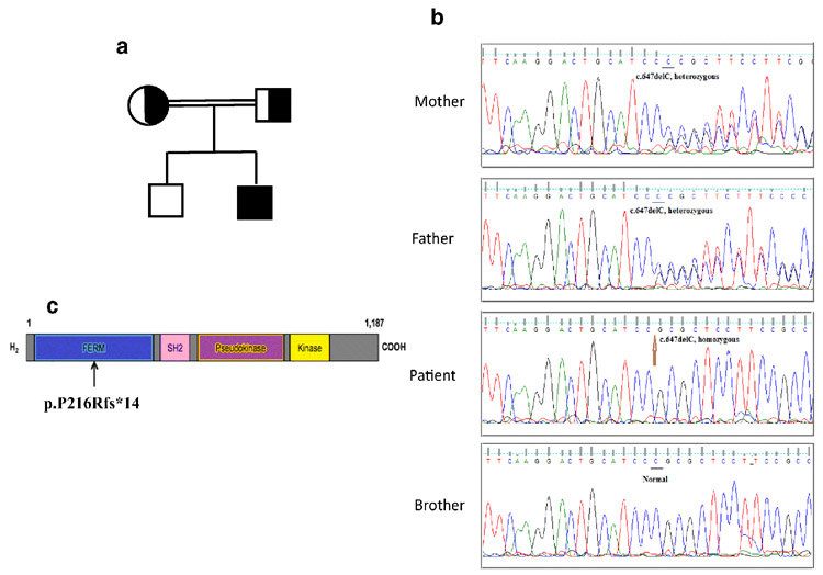 Figure 1-