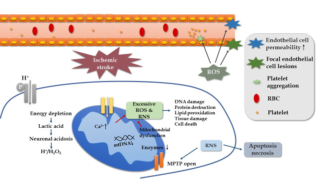 Figure 3.