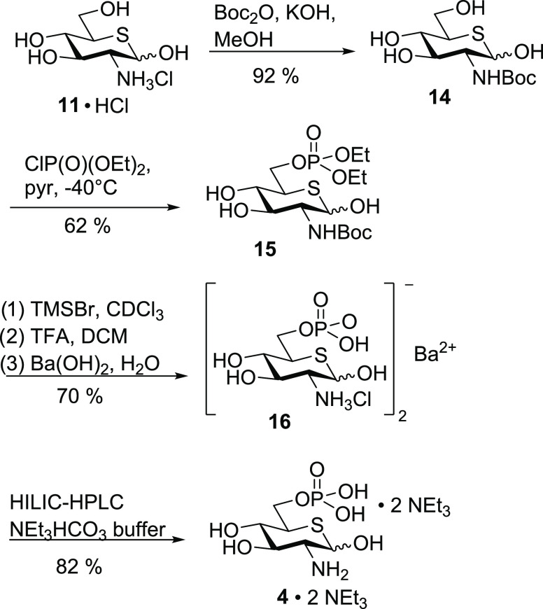 Scheme 6