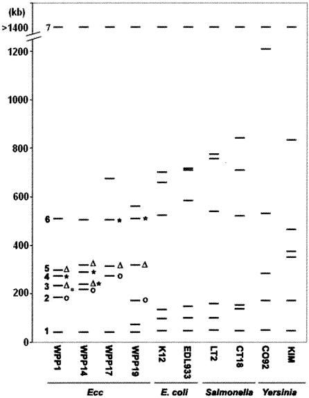 FIG. 5.