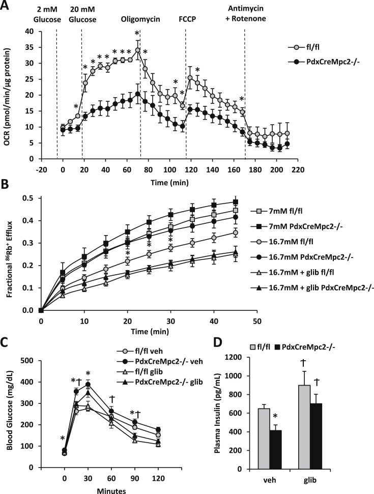 Figure 6