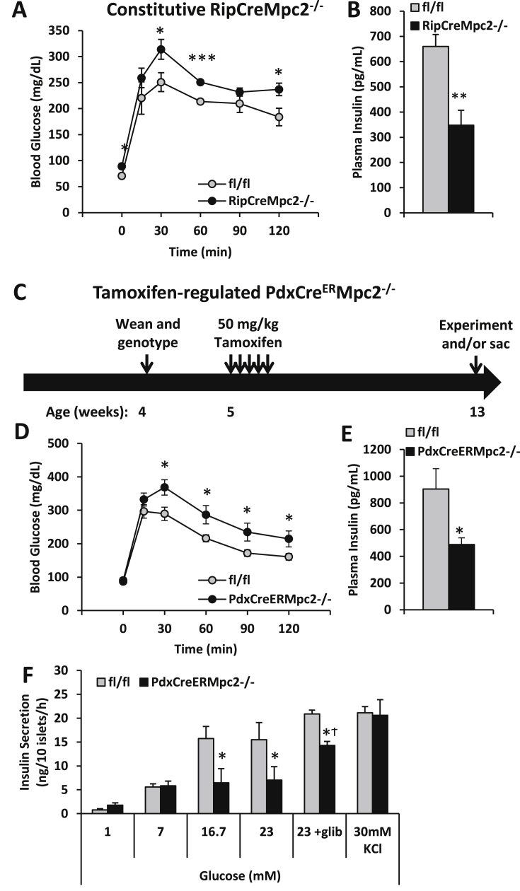 Figure 5