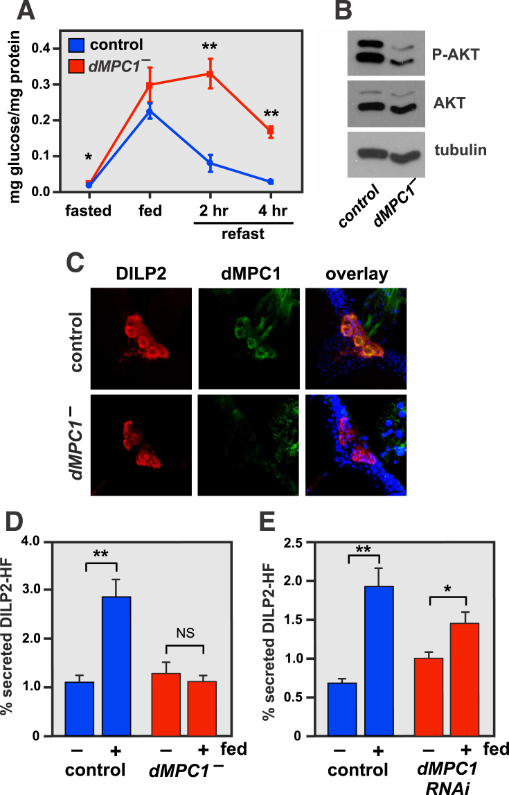 Figure 3