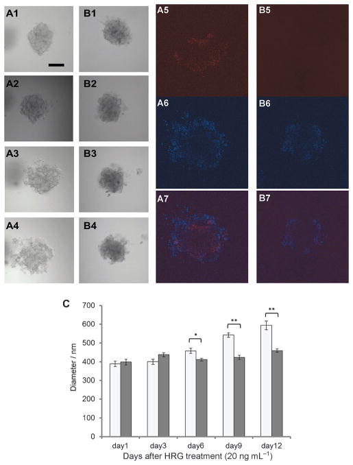 Figure 7