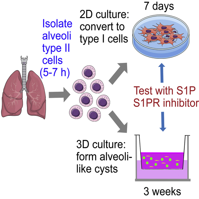 graphic file with name fx1.jpg