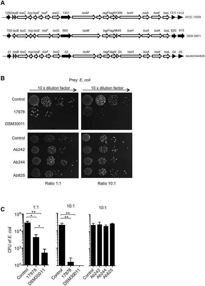 Fig 1