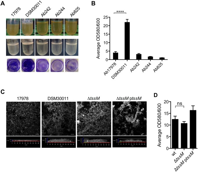 Fig 6