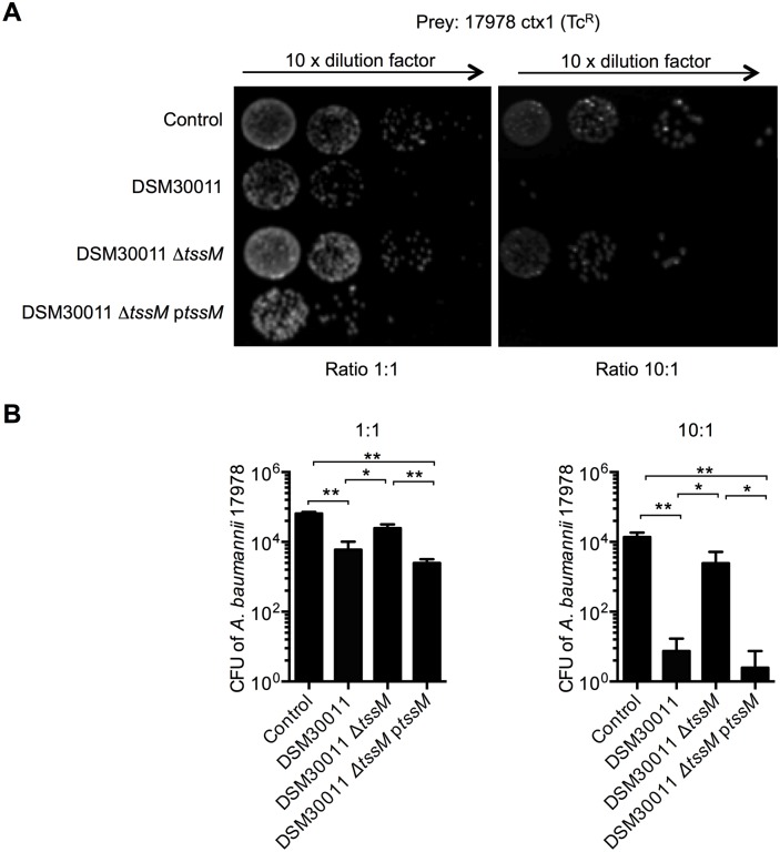 Fig 4