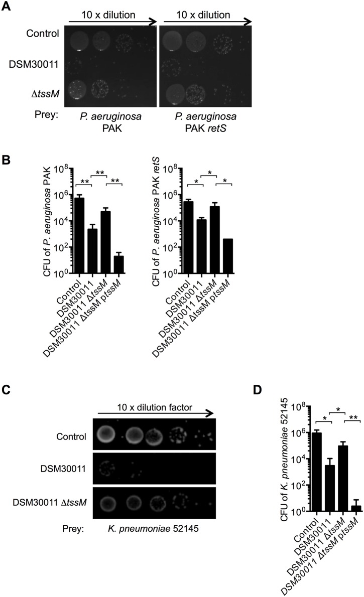 Fig 5