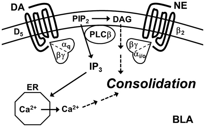 Figure 9.