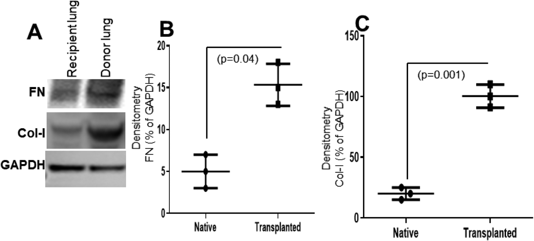 Figure 5: