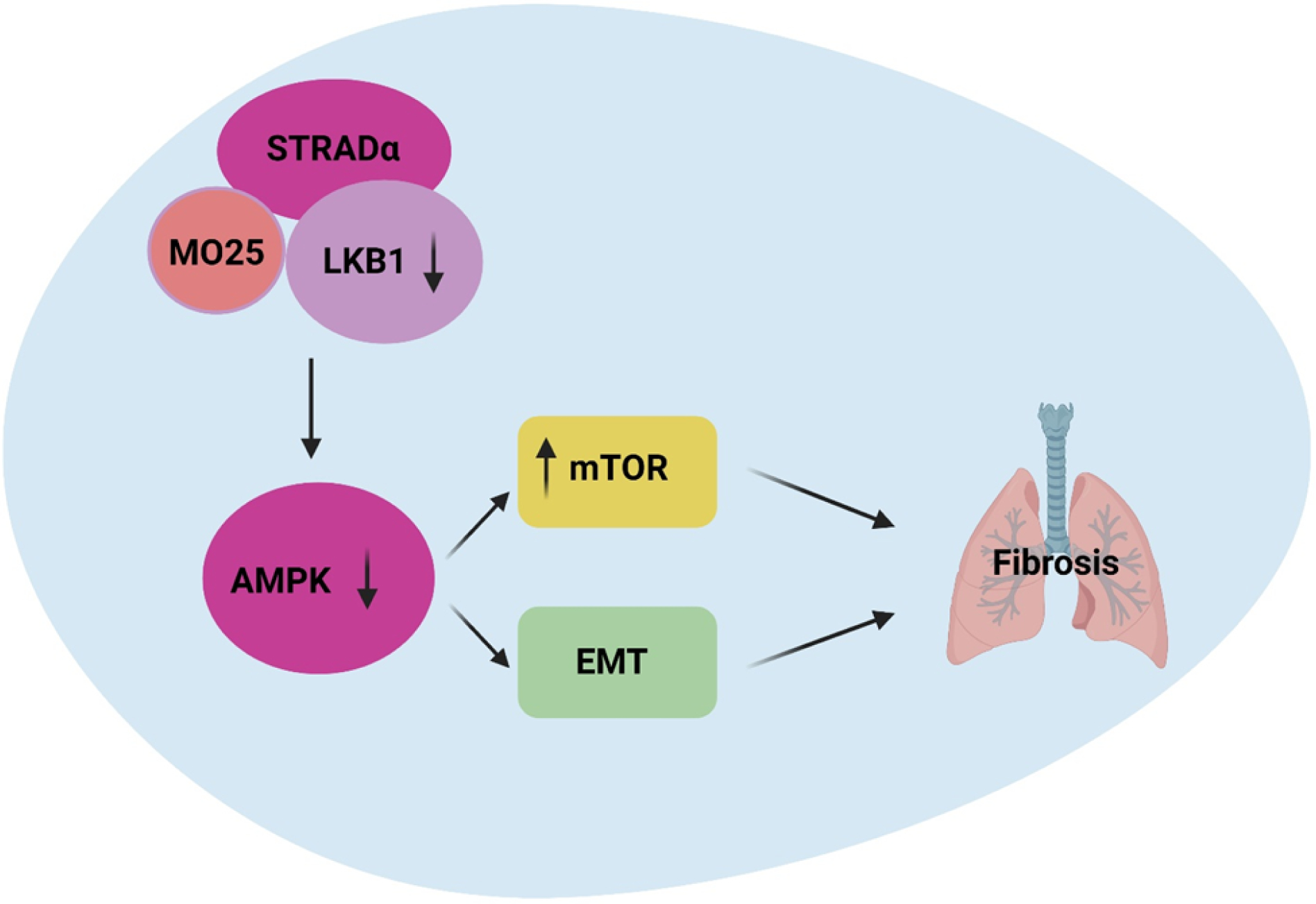 Figure 9: