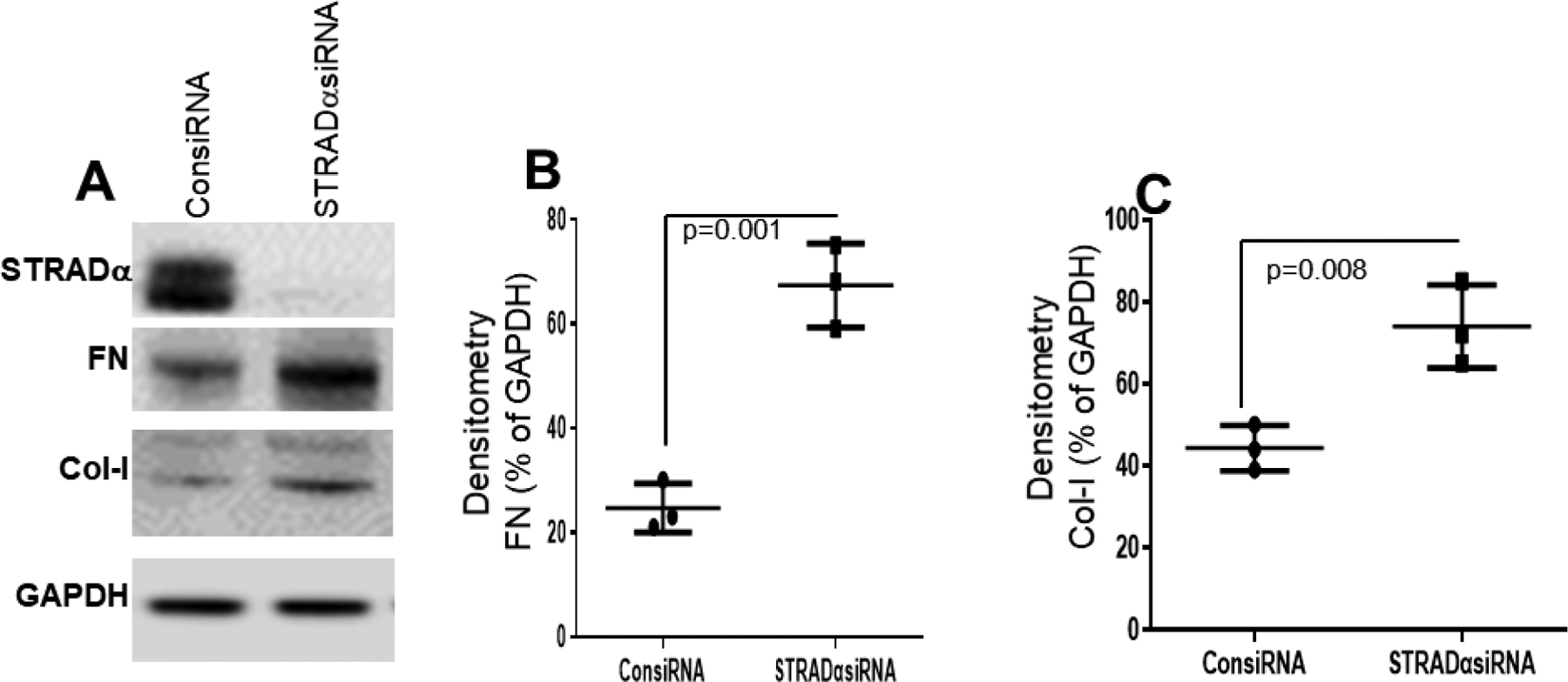 Figure 7: