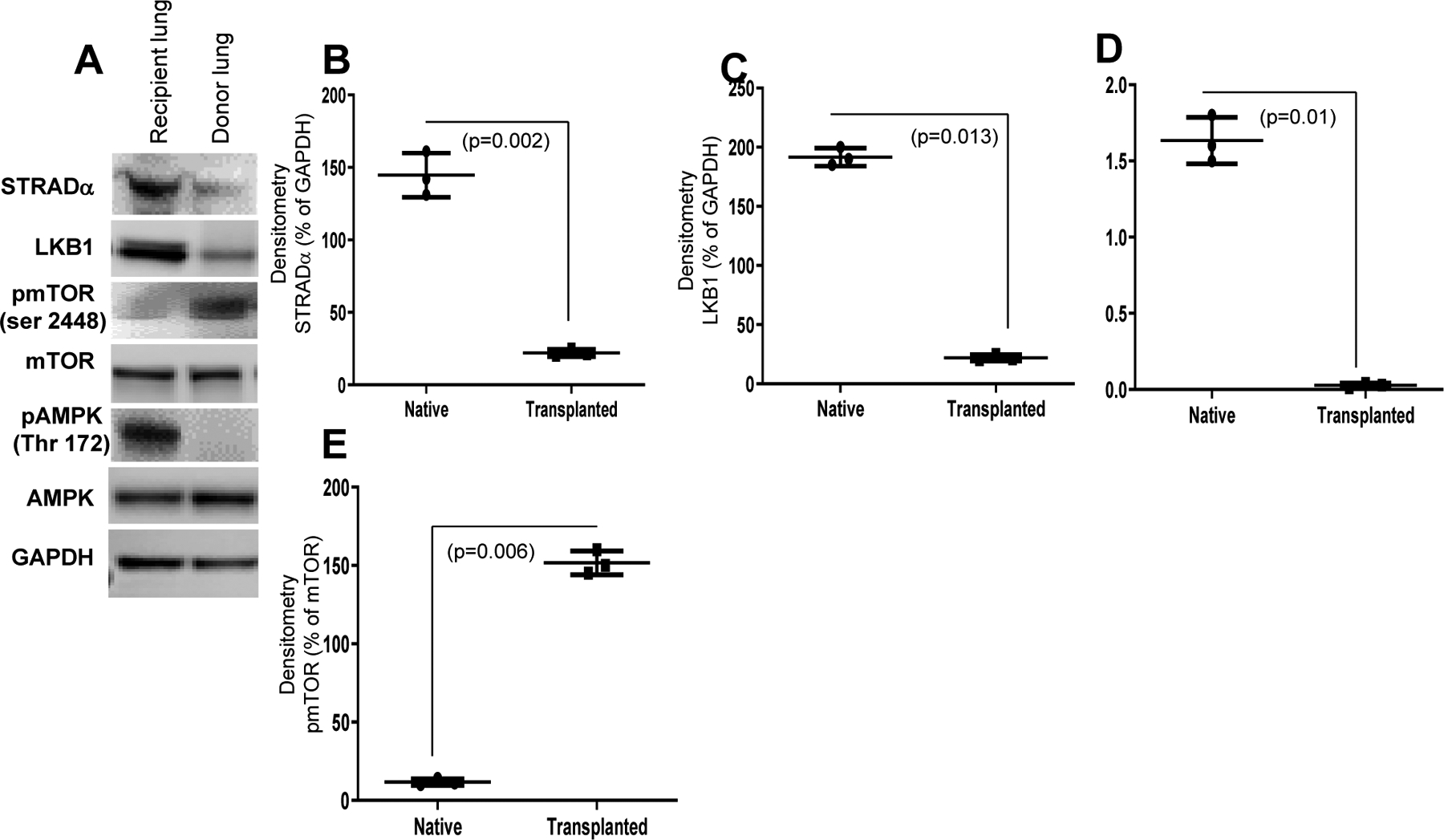 Figure 3: