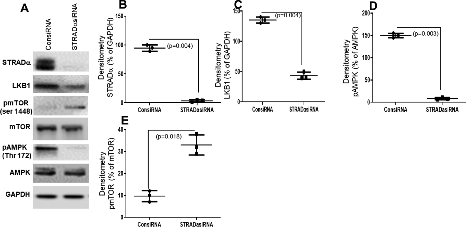 Figure 6: