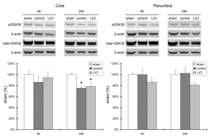 Fig.4.