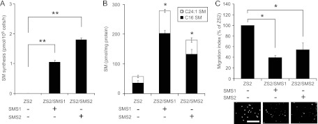 Fig 3